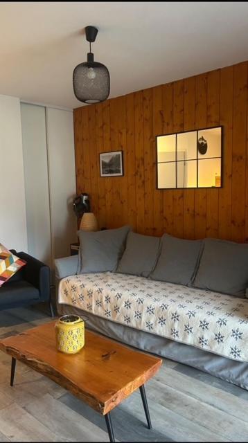 Tt Confort Au Coeur Des Montagnes Vue Sur Les Montagnes Ii Wifi Apartment *